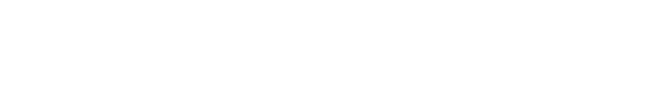 2007 DX