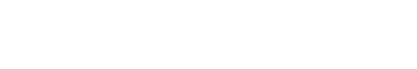 Log Summary