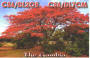 C56-DL2OE-QSL.jpg (100313 bytes)
