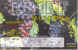 er1ff.jpg (658007 bytes)